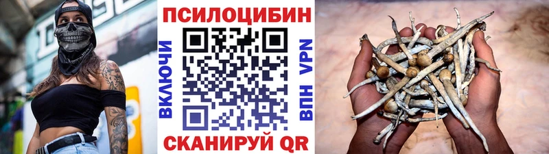 Купить где  Любань  Псилоцибиновые грибы MAGIC MUSHROOMS 